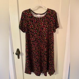 LuLaRoe Carly Dress M EUC